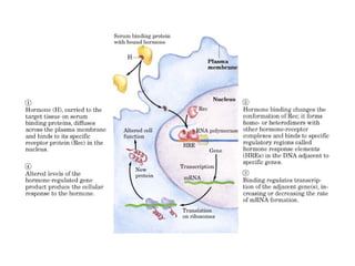 13 señales biológicas