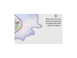 13 señales biológicas