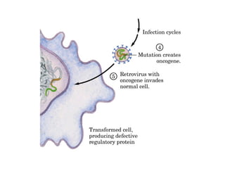 13 señales biológicas