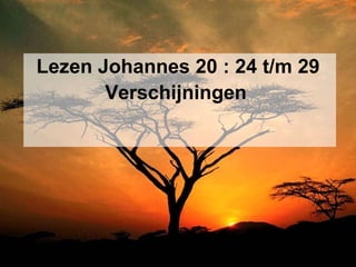 Lezen Johannes 20 : 24 t/m 29 Verschijningen   