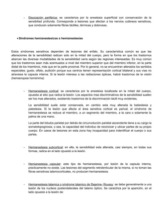 - Disociación periférica: se caracteriza por la anestesia superficial con conservación de la
sensibiliad profunda. Corresponde a lesiones que afectan a los nervios cutáneos sensitivos,
que conducen solamente fibras táctiles, térmicas y dolorosas.
• Síndromes hemianestesicos o hemianestesias
Estos síndromes sensitivos dependen de lesiones del enfalo. Su característica común es que las
alteraciones de la sensibilidad radican solo en la mitad del cuerpo, pero la forma en que los trastornos
abarcan las diversas modalidades de la sensibilidad varía según las regiones interesadas. Es muy común
que los trastornos sean más acentuados a nivel del miembro superior que del miembro inferior, en la parte
distal de los miembros, más que en la parte proximal. Por lo general, no se encuentran alterados los sentidos
especiales: gusto, olfato, audición porque sus centros tienen representación cortical bilateral y sus vías no
atraviesa la capsula interna. Si la lesión interesa a las radiaciones ópticas, habrá trastornos de la visión
(hemianopsia homónima)
- Hemianestesia cortical: se caracteriza por la anestesia localizada en la mitad del cuerpo,
opuesta al sitio que radica la lesión. Los aspectos mas discriminativos de la sensibilidad suelen
ser los mas alterados, existiendo trastornos de la discriminación táctil muy evidentes.
La sensibilidad suele estar conservada, en cambio esta muy alterada la batiestesia y
palestesia. Si la lesión que afecta al área sensitiva cortical es parical, el síndrome de
hemianestesia se reduce al miembro, a un segmento del miembro, a la cara o solamente la
palma de una mano.
La parte del lobulos parietal por detrás de circunvolución parietal ascendente tiene a su cargo la
somatotopognosia, o sea, la capacidad del individuo de reconocer y ubicar partes de su propio
cuerpo. En casos de lesiones en esta zona hay incapacidad para indentificar el cuerpo o sus
partes.
- Hemianestesia subcortical: en ella, la sensibilidad esta alterada, casi siempre, en todas sus
formas, radica en el lado opuesto a la lesión.
- Hemianestesia capsular: este tipo de hemianestesia, por lesión de la capsula interna,
prácticamente no existe. Las lesiones del segmento retrolenticular de la misma, si no toman las
fibras sensitivas talamocorticales, no producen hemianestesia.
- Hemianestesia talamica o síndrome talamico de Dejerine- Roussy: se debe generalmente a una
lesión de los nucleos posterolaterales del talamo óptico. Se caractriza por la aparición, en el
lado opuesto a la lesión de:
 