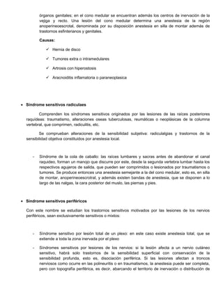 órganos genitales; en el cono medular se encuentran además los centros de inervación de la
vejiga y recto. Una lesión del cono medular determina una anestesia de la región
anoperineoescrotal, denominada por su disposición anestesia en silla de montar además de
trastornos esfinterianos y genitales.
Causas:
 Hernia de disco
 Tumores extra o intramedulares
 Artrosis con hiperostosis
 Aracnoiditis inflamatoria o paraneoplasica
• Síndrome sensitivos radiculaes
Comprenden los síndromes sensitivos originados por las lesiones de las raíces posteriores
raquídeas: traumatismo, alteraciones oseas tuberculosas, reumáticas o neoplásicas de la columna
vertebral, que comprimen, radiculitis, etc.
Se comprueban alteraciones de la sensibilidad subjetiva: radiculalgias y trastornos de la
sensibilidad objetiva constituidos por anestesia local.
- Síndrome de la cola de caballo: las raíces lumbares y sacras antes de abandonar el canal
raquideo, forman un manojo que discurre por este, desde la segunda vertebra lumbar hasta los
respectivos agujeros de salida, que pueden ser comprimidos o lesionados por traumatismos o
tumores. Se produce entonces una anestesia semejante a la del cono medular, esto es, en silla
de montar, anoperineoescrotral, y además existen bandas de anestesia, que se disponen a lo
largo de las nalgas, la cara posterior del muslo, las piernas y pies.
• Síndrome sensitivos periféricos
Con este nombre se estudian los trastornos sensitivos motivados por las lesiones de los nervios
periféricos, sean exclusivamente sensitivos o mixtos:
- Síndrome sensitivo por lesión total de un plexo: en este caso existe anestesia total, que se
extiende a toda la zona inervada por el plexo
- Síndromes sensitivos por lesiones de los nervios: si la lesión afecta a un nervio cutáneo
sensitivo, habrá solo trastornos de la sensibilidad superficial con conservación de la
sensibilidad profunda, esto es, disociación periférica. Si las lesiones afectan a troncos
nerviosos como ocurre en las polineuritis o en traumatismos, la anestesia puede ser completa,
pero con topografía periférica, es decir, abarcando el territorio de inervación o distribución de
 