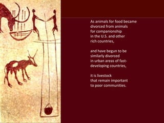 Taking the long livestock view