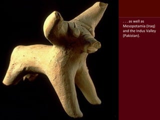 Taking the long livestock view