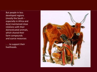 Taking the long livestock view