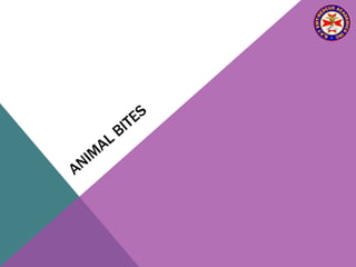 13 soft tissue_injuries