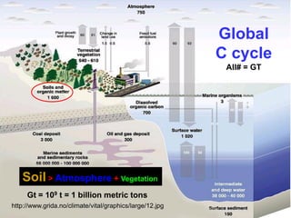 http://www.grida.no/climate/vital/graphics/large/12.jpg
Global
C cycle
All# = GT
Gt = 109 t = 1 billion metric tons
Soil > Atmosphere + Vegetation
 