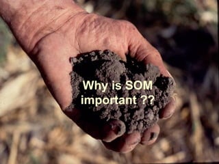 Why is SOM
important ??
 