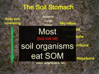 Most
(but not all)
soil organisms
eat SOM
 