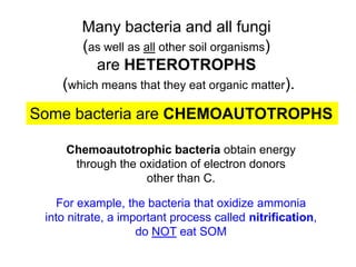 Some bacteria are CHEMOAUTOTROPHS
Chemoautotrophic bacteria obtain energy
through the oxidation of electron donors
other than C.
For example, the bacteria that oxidize ammonia
into nitrate, a important process called nitrification,
do NOT eat SOM
Many bacteria and all fungi
(as well as all other soil organisms)
are HETEROTROPHS
(which means that they eat organic matter).
 