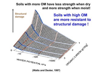 (Watts and Dexter, 1997)
Structural
damage Soils with high OM
are more resistant to
structural damage !
Soils with more OM have less strength when dry
and more strength when moist!
 