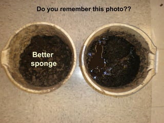 Do you remember this photo??
Better
sponge
 