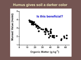 Humus gives soil a darker color
Is this beneficial?
 