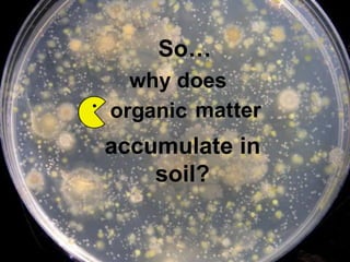 accumulate in
soil?
why does
matorganic ter
So…
 