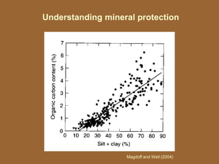 Understanding mineral protection
Magdoff and Weil (2004)
 