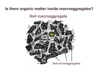 Soil microaggregates
Soil macroaggregate
OM
OM
Is there organic matter inside macroaggregates?
 