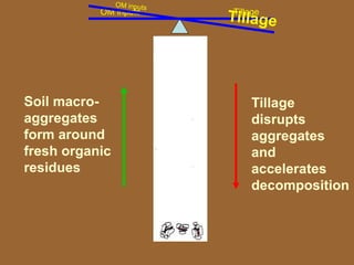 Soil macro-
aggregates
form around
fresh organic
residues
Tillage
disrupts
aggregates
and
accelerates
decomposition
TillageOM inputs
 