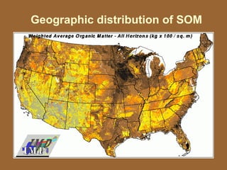 Geographic distribution of SOM
 