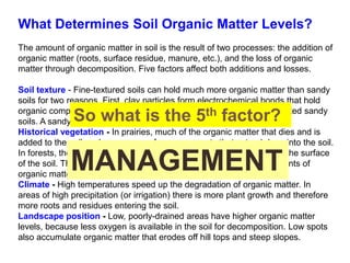 What Determines Soil Organic Matter Levels?
The amount of organic matter in soil is the result of two processes: the addition of
organic matter (roots, surface residue, manure, etc.), and the loss of organic
matter through decomposition. Five factors affect both additions and losses.
Soil texture - Fine-textured soils can hold much more organic matter than sandy
soils for two reasons. First, clay particles form electrochemical bonds that hold
organic compounds. Second, decomposition occurs faster in well-aerated sandy
soils. A sandy loam rarely holds more than 2% organic matter.
Historical vegetation - In prairies, much of the organic matter that dies and is
added to the soil each year comes from grass roots that extend deep into the soil.
In forests, the organic matter comes from leaves that are dropped on the surface
of the soil. Thus, farmland that was once prairie will have higher amounts of
organic matter deep in the soil than lands that were previously forest.
Climate - High temperatures speed up the degradation of organic matter. In
areas of high precipitation (or irrigation) there is more plant growth and therefore
more roots and residues entering the soil.
Landscape position - Low, poorly-drained areas have higher organic matter
levels, because less oxygen is available in the soil for decomposition. Low spots
also accumulate organic matter that erodes off hill tops and steep slopes.
So what is the 5th factor?
MANAGEMENT
 