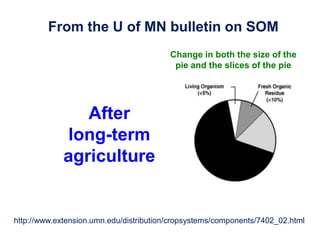 http://www.extension.umn.edu/distribution/cropsystems/components/7402_02.html
From the U of MN bulletin on SOM
After
long-term
agriculture
Change in both the size of the
pie and the slices of the pie
 