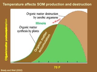 Temperature affects SOM production and destruction
Brady and Weil (2002)
70 F
Organic matter destruction
by aerobic organisms
Organic matter
synthesis by plants
OrganicmatterproductionOrganicmatterconsumptionOMproductionandconsumption
Illinois
 