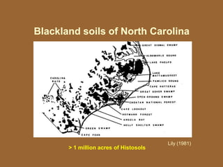 Blackland soils of North Carolina
Lily (1981)
> 1 million acres of Histosols
 