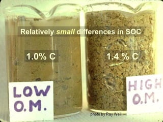 1.4 % C1.0% C
Relatively small differences in SOC
 