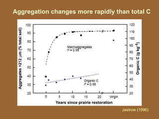 Aggregation changes more rapidly than total C
Jastrow (1996)
Years since prairie restoration
 