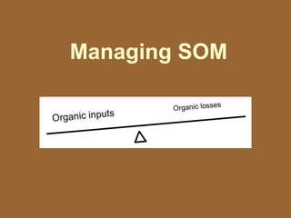 Managing SOM
 