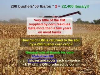 General rule of thumb for corn
grain, stover and roots each comprise
~1/3rd of the OM produced by corn
How much OM is returned to the soil
by a 200 bushel corn crop?
200 bushels*56 lbs/bu * 2 = 22,400 lbs/a/yr!
2/3rds of corn OM
Very little of the OM
supplied by corn residues
lasts more than a few years
on most farms
 