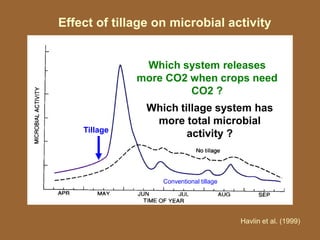 Effect of tillage on microbial activity
Havlin et al. (1999)
Tillage
Which tillage system has
more total microbial
activity ?
Conventional tillage
Which system releases
more CO2 when crops need
CO2 ?
 