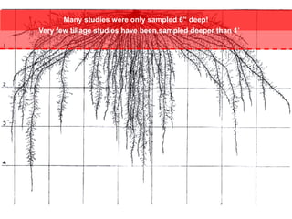 Very few tillage studies have been sampled deeper than 1’
Many studies were only sampled 6” deep!
 