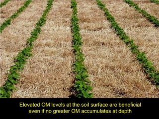 Elevated OM levels at the soil surface are beneficial
even if no greater OM accumulates at depth
 
