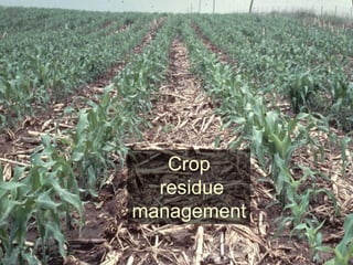 Crop
residue
management
 