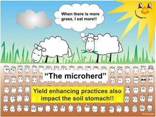 “The microherd”
Phil Brookes
Yield enhancing practices also
impact the soil stomach!!
When there is more
grass, I eat more!!
 