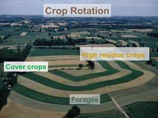 Crop Rotation
High residue crops
Cover crops
Forages
 