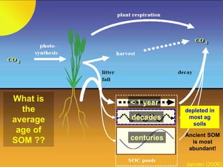 < 1 year
decades
centuries
What is
the
average
age of
SOM ??
Janzen (2006)
Ancient SOM
is most
abundant!
depleted in
most ag
soils
 