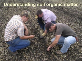 Understanding soil organic matter
 