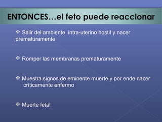 ENTONCES…el feto puede reaccionar
 Salir del ambiente intra-uterino hostil y nacer
prematuramente
 Romper las membranas prematuramente
 Muestra signos de eminente muerte y por ende nacer
críticamente enfermo
 Muerte fetal
 