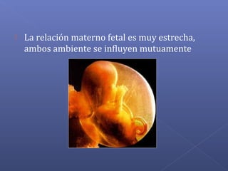  La relación materno fetal es muy estrecha,
ambos ambiente se influyen mutuamente
 