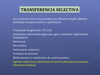 TRANSFERENCIA SELECTIVA
Las sustancias son transportadas, por difusión simple, difusión
facilitada, transporte activo y pinocitosis.
 Transporte de gases (O2, CO2,CO)
 Sustancias nutricionales (glucosa, agua, colesterol, triglicéridos,
fosfolípidos)
 Hormonas
 Electrolitos
 Anticuerpos maternos
 Producto de desecho
 Medicamentos y metabolitos de medicamentos
 Agentes infecciosos (atraviesan la barrera placentaria causando
infecciones fetales)
 