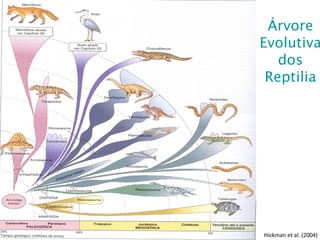 Árvore
Evolutiva
dos
Reptilia
Hickman et al. (2004)
 