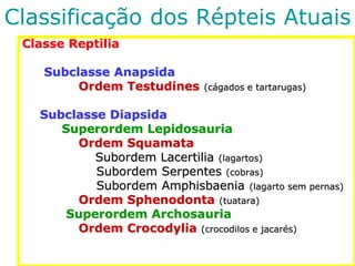 Classificação dos Répteis Atuais
Classe Reptilia
Subclasse Anapsida
Ordem Testudines (cágados e tartarugas)
Subclasse Diapsida
Superordem Lepidosauria
Ordem Squamata
Subordem Lacertilia (lagartos)
Subordem Serpentes (cobras)
Subordem Amphisbaenia (lagarto sem pernas)
Ordem Sphenodonta (tuatara)
Superordem Archosauria
Ordem Crocodylia (crocodilos e jacarés)
 