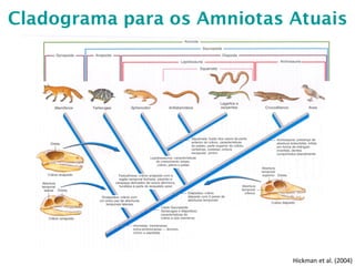 Cladograma para os Amniotas Atuais
Hickman et al. (2004)
 