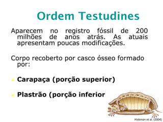 Ordem Testudines
Aparecem no registro fóssil de 200
milhões de anos atrás. As atuais
apresentam poucas modificações.
Corpo recoberto por casco ósseo formado
por:
 Carapaça (porção superior)
 Plastrão (porção inferior)
Hickman et al. (2004)
 