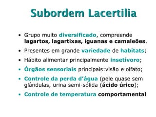 Subordem Lacertilia
• Grupo muito diversificado, compreende
lagartos, lagartixas, iguanas e camaleões.
• Presentes em grande variedade de habitats;
• Hábito alimentar principalmente insetívoro;
• Órgãos sensoriais principais:visão e olfato;
• Controle da perda d’água (pele quase sem
glândulas, urina semi-sólida (ácido úrico);
• Controle de temperatura comportamental
 