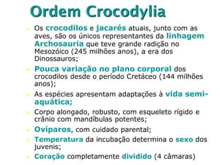 Ordem Crocodylia
 Os crocodilos e jacarés atuais, junto com as
aves, são os únicos representantes da linhagem
Archosauria que teve grande radição no
Mesozóico (245 milhões anos), a era dos
Dinossauros;
 Pouca variação no plano corporal dos
crocodilos desde o período Cretáceo (144 milhões
anos);
 As espécies apresentam adaptações à vida semi-
aquática;
 Corpo alongado, robusto, com esqueleto rígido e
crânio com mandíbulas potentes;
 Ovíparos, com cuidado parental;
 Temperatura da incubação determina o sexo dos
juvenis;
 Coração completamente dividido (4 câmaras)
 