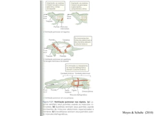 Moyes & Schulte (2010)
 