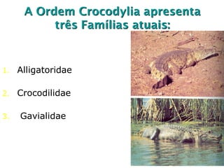 A Ordem Crocodylia apresenta
três Famílias atuais:
1. Alligatoridae
2. Crocodilidae
3. Gavialidae
 
