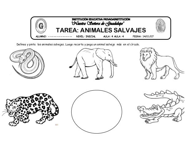 13 tarea animales salvajes